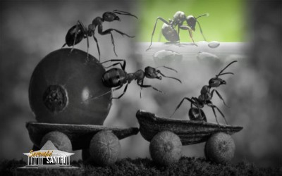 MAKNA HIDUP DALAM KESEJATIAN  oleh : Kang Susanto